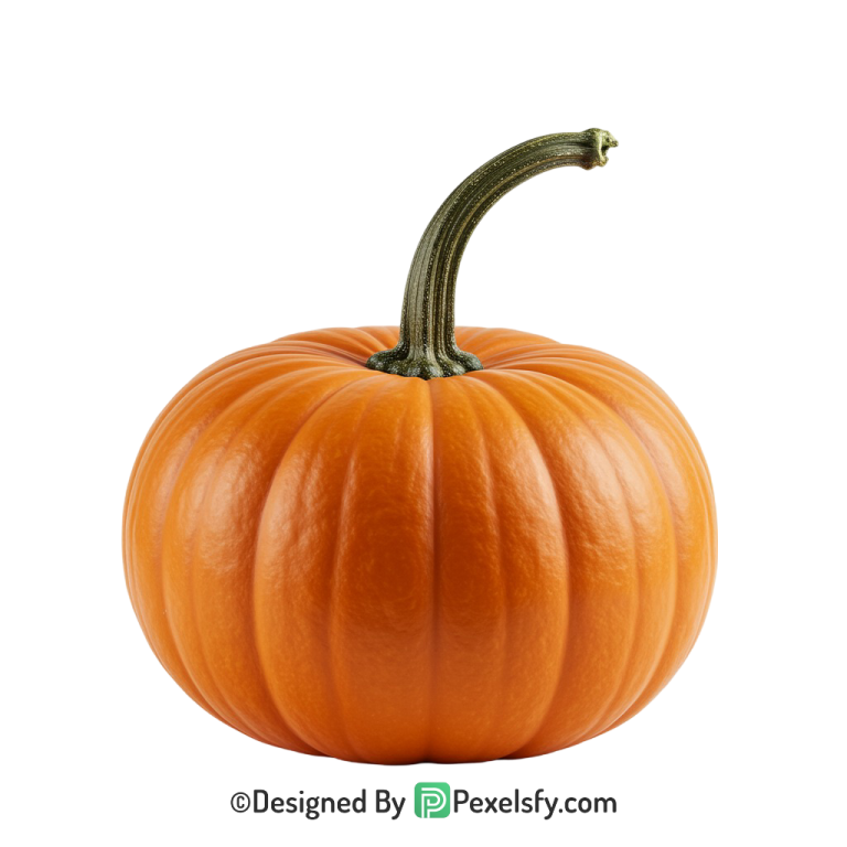 Pumpkin Png Image 6