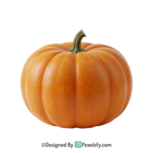Pumpkin Png Image 8