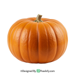 Pumpkin Png Image 9