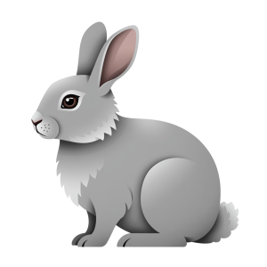 Rabbit Png Image 21