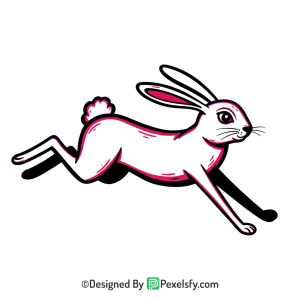 Rabbit Png Image 31