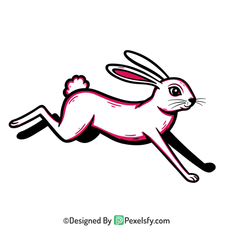 Rabbit Png Image 31