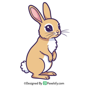 Rabbit Png Image 34