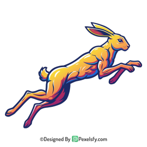 Rabbit Png Image 84