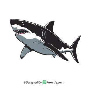 Shark Png Image 10