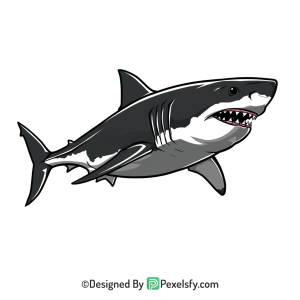 Shark Png Image 18