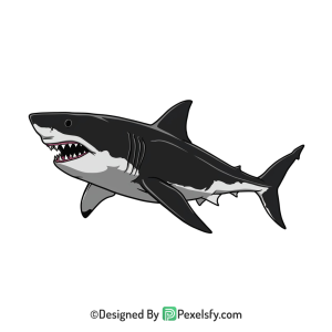 Shark Png Image 29