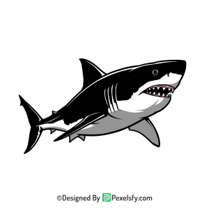 Shark Png Image 35