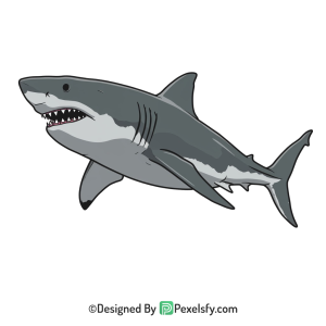 Shark Png Image 40