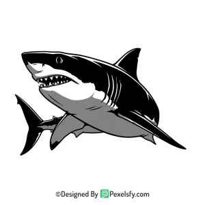 Shark Png Image 63