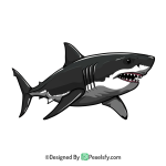 Shark PNG