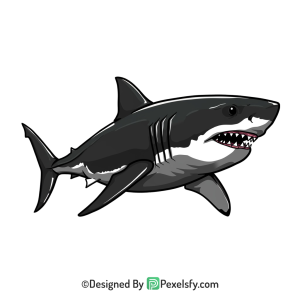 Shark Png Image 70