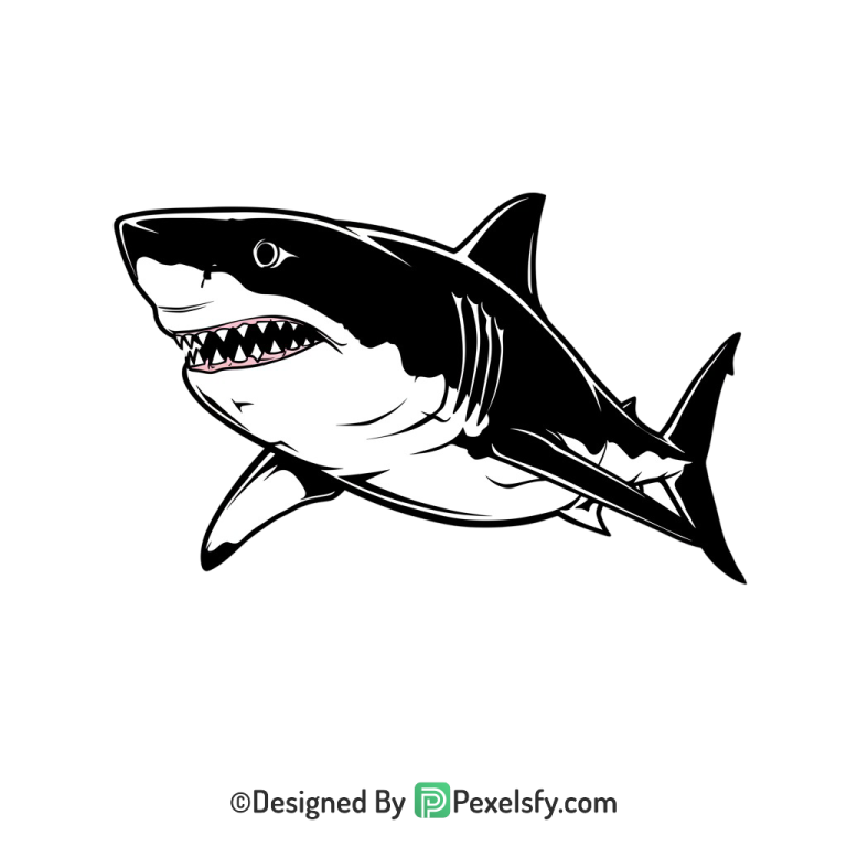 Shark Png Image 75
