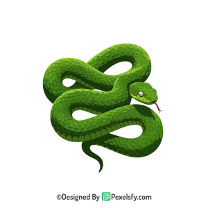 Snake Png Image 3