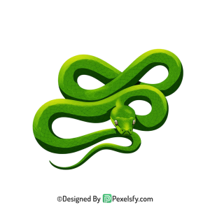 Snake Png Image 4