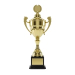 Trophy PNG
