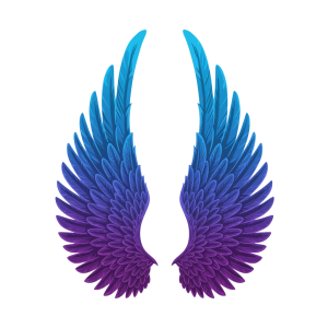Wings Png Image 14