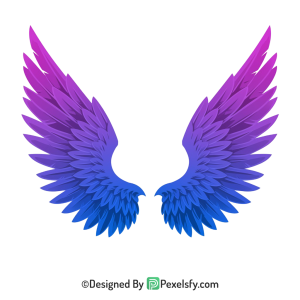 Wings Png Image 16