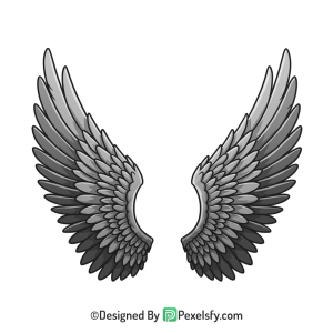 Wings Png Image 19