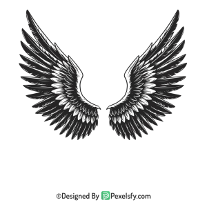 Wings Png Image 23