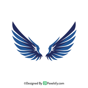 Wings Png Image 27