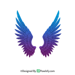 Wings Png Image 38