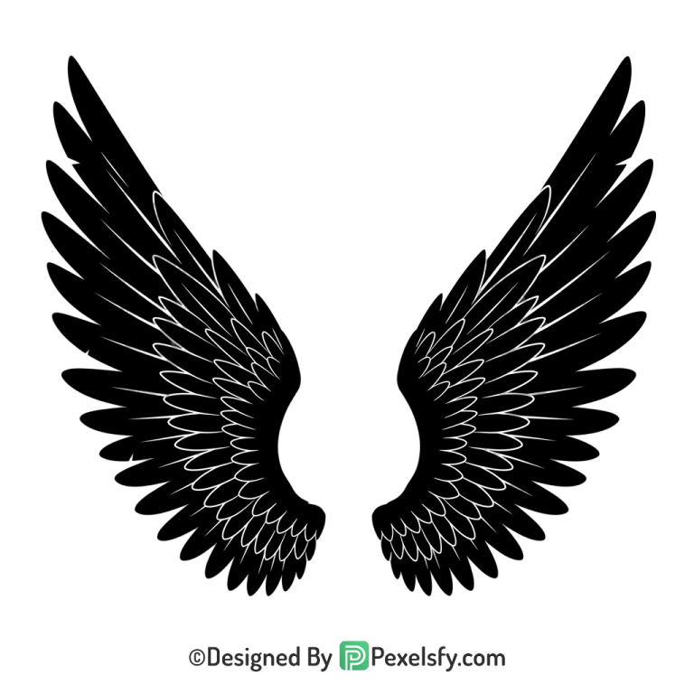 Wings Png Image 39