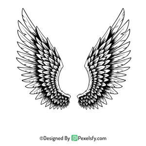 Wings Png Image 4