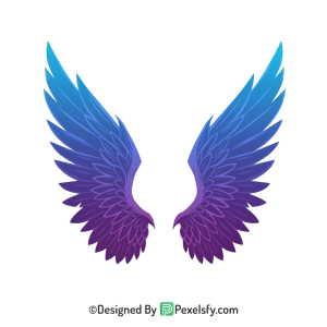 Wings Png Image 42