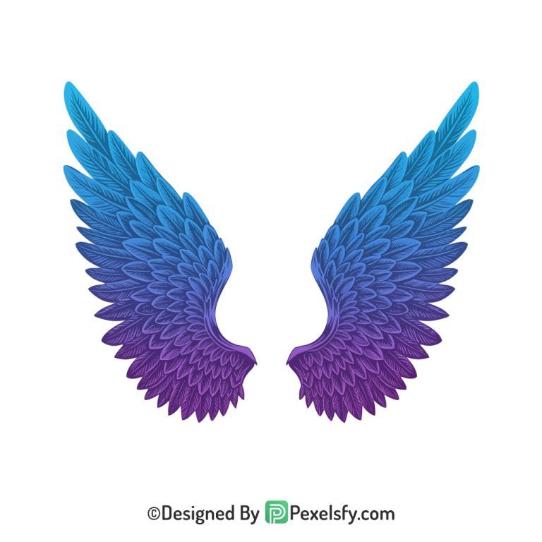 Wings Png Image 43