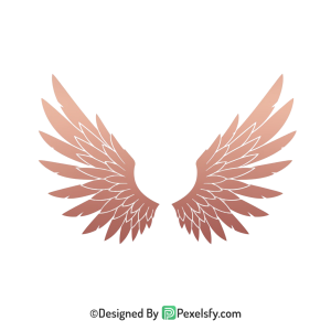 Wings Png Image 45