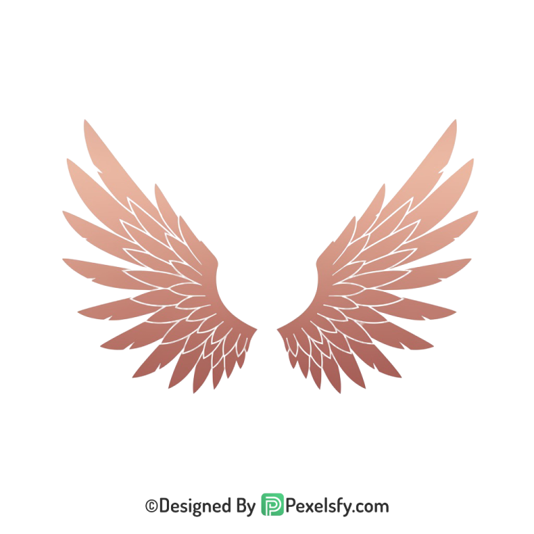 Wings Png Image 45