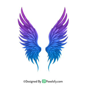 Wings Png Image 47