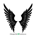 Wings PNG