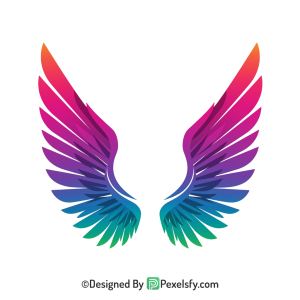 Wings Png Image 55