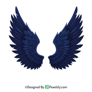 Wings PNG