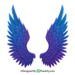 Wings PNG