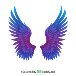 Wings Png Image 9