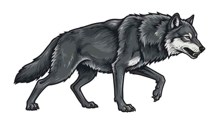 Wolf Png Image 34