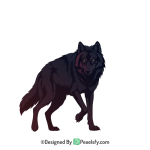 Wolf PNG