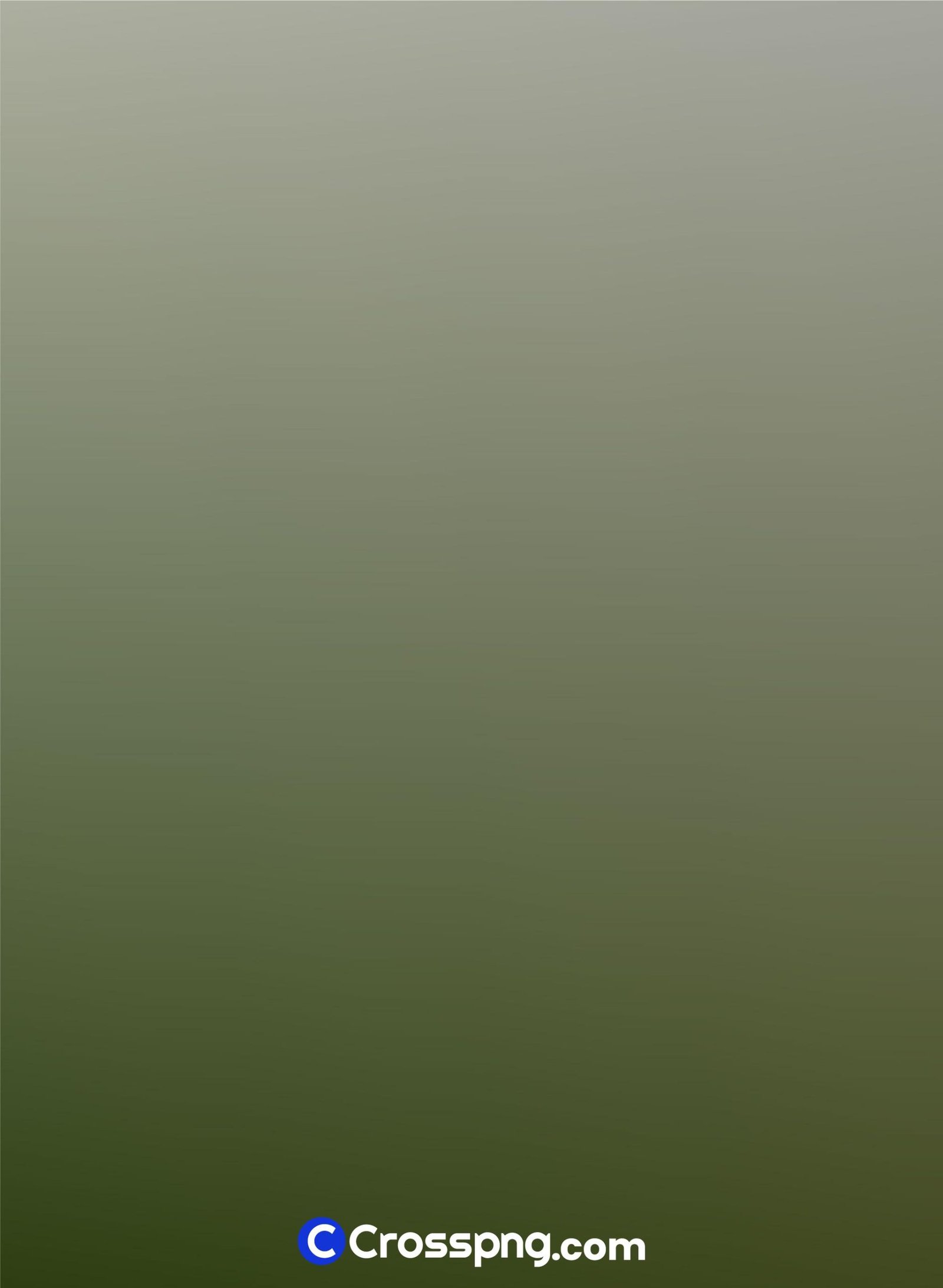 Abstract Gradient Background 219