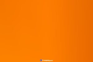 Abstract Gradient Background 317