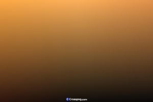 Abstract Gradient Background 341