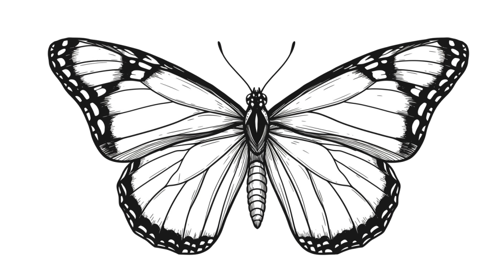 Butterfly Transparent Png (10)