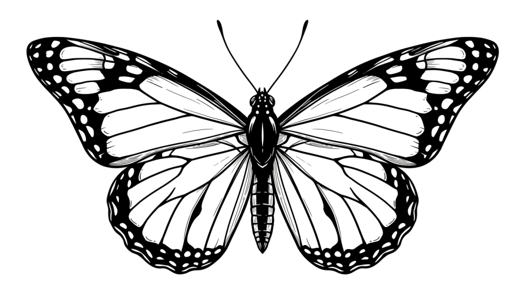 Butterfly Transparent Png (11)