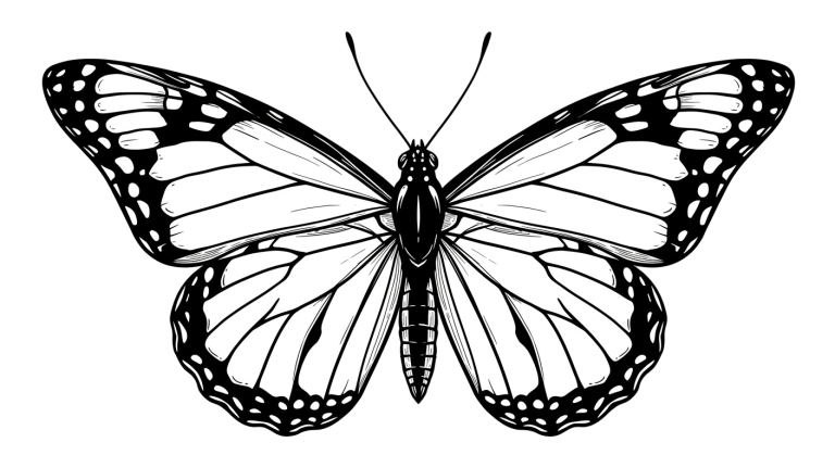 Butterfly Transparent Png (11)