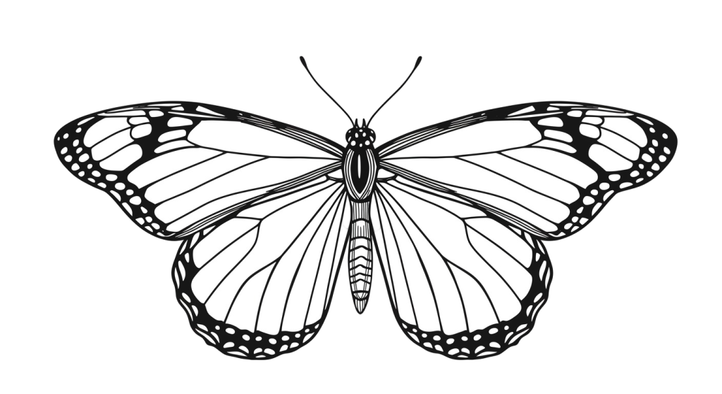 Butterfly Transparent Png (14)