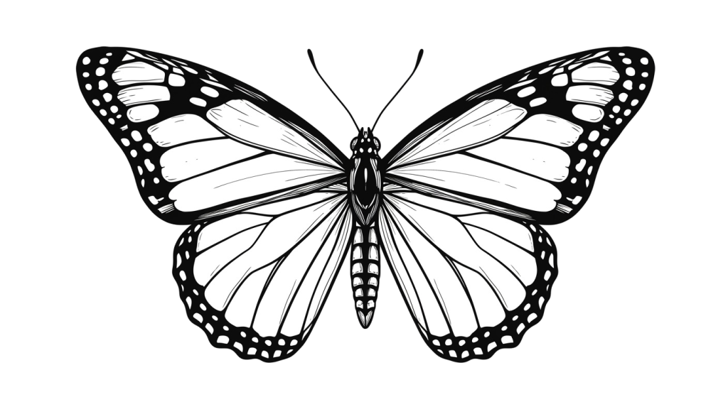 Butterfly Transparent Png (16)