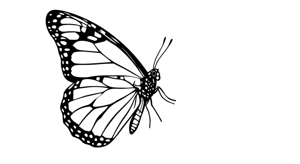 Butterfly Transparent Png (17)