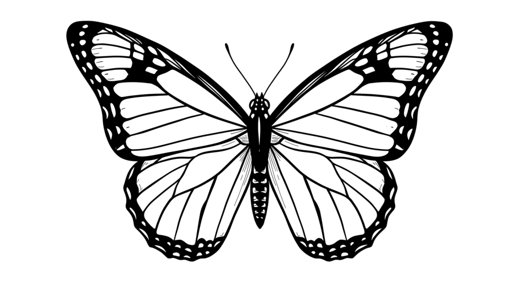 Butterfly Transparent Png (3)